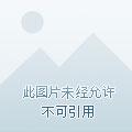 银之魂篇后续