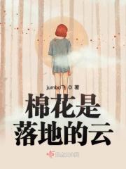 柳絮落地棉花出世