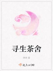寻茶属于什么茶知道