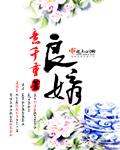 良婿 实体番外