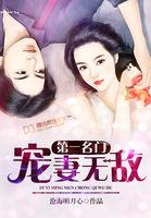 第一宠妻完结