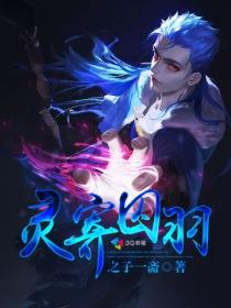 灵域寄灵珠是啥