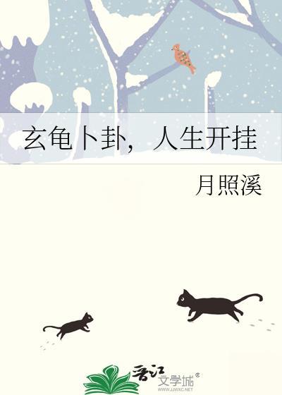 玄龟卜卦人生开挂书包网
