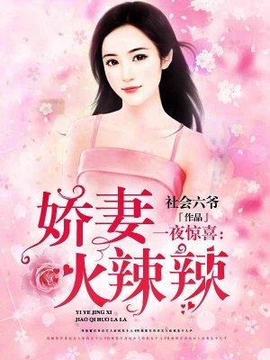 一夜惊喜重生90小娇妻
