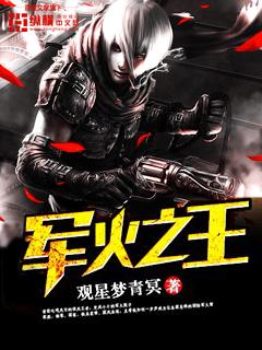 军火之王在线看