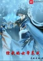 综武之天帝系统